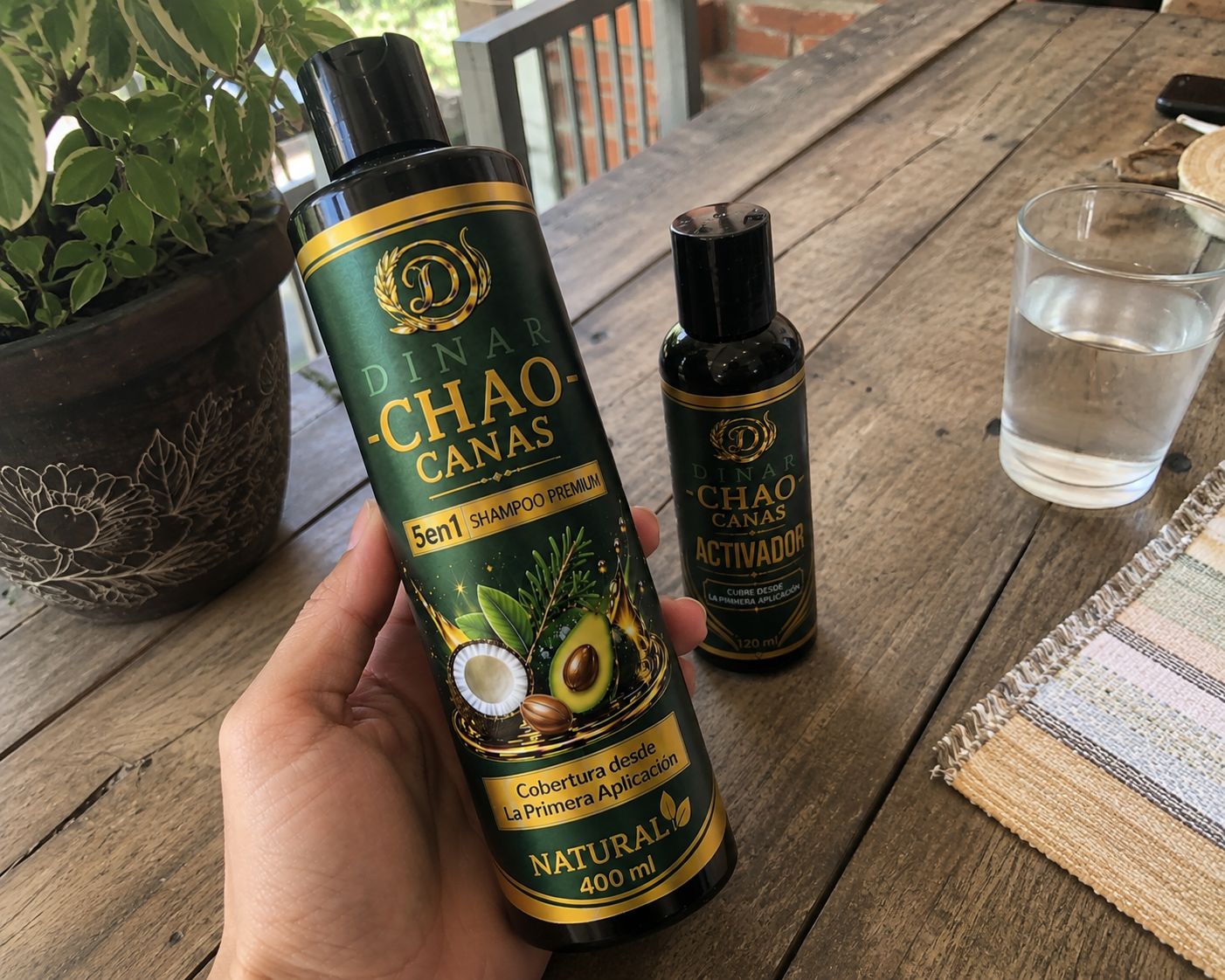 CHAO CANAS 5 EN 1, CON ROMERO Y AGUACATE, PAGA 1 Y LLEVA 3 PRODUCTOS; CHAMPÚ, TRATAMIENTO Y ACTIVADOR🎁