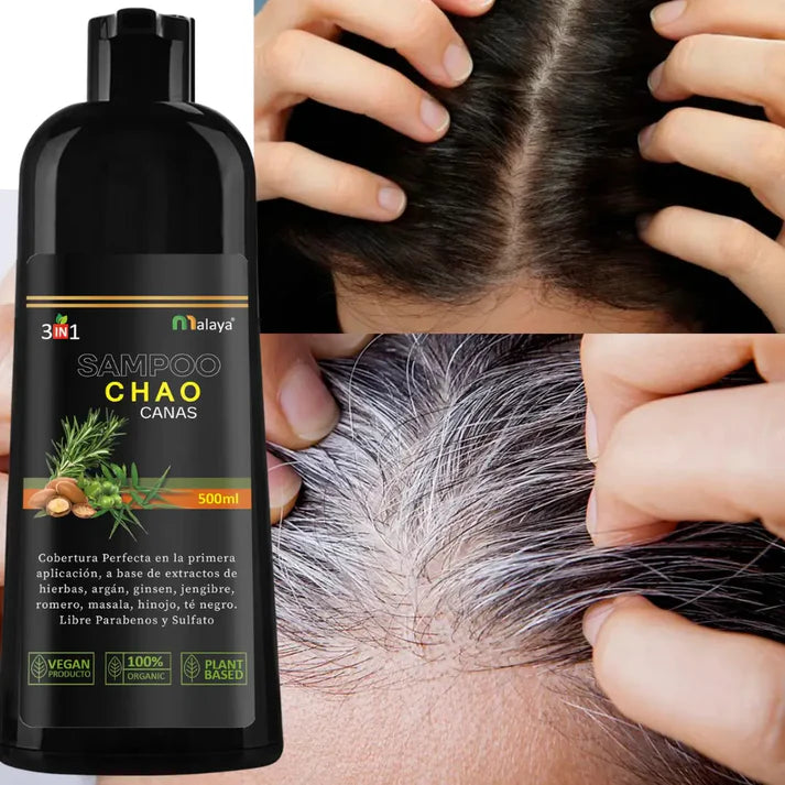 Shampoo chao canas 3 en 1 + Tratamiento gratis